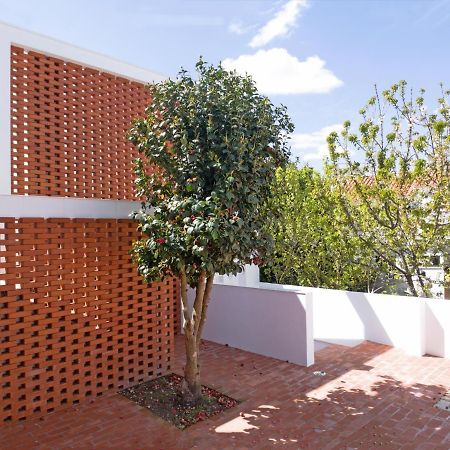 Margueda Bed & Breakfast Alcains Exterior photo