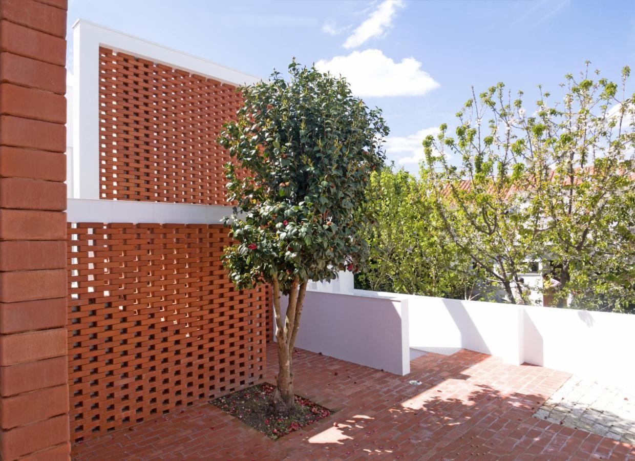 Margueda Bed & Breakfast Alcains Exterior photo